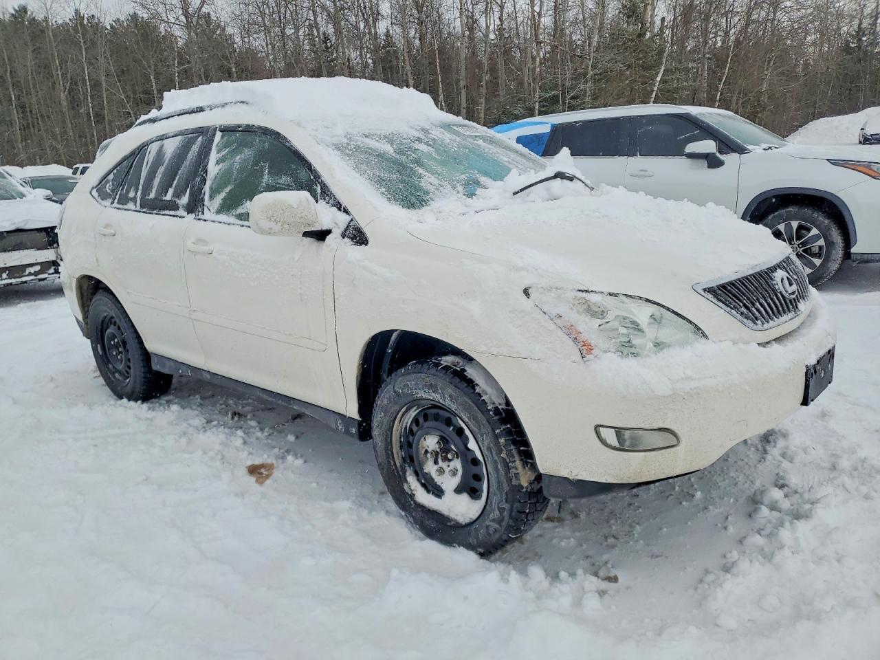 2004 LEXUS Rx 330