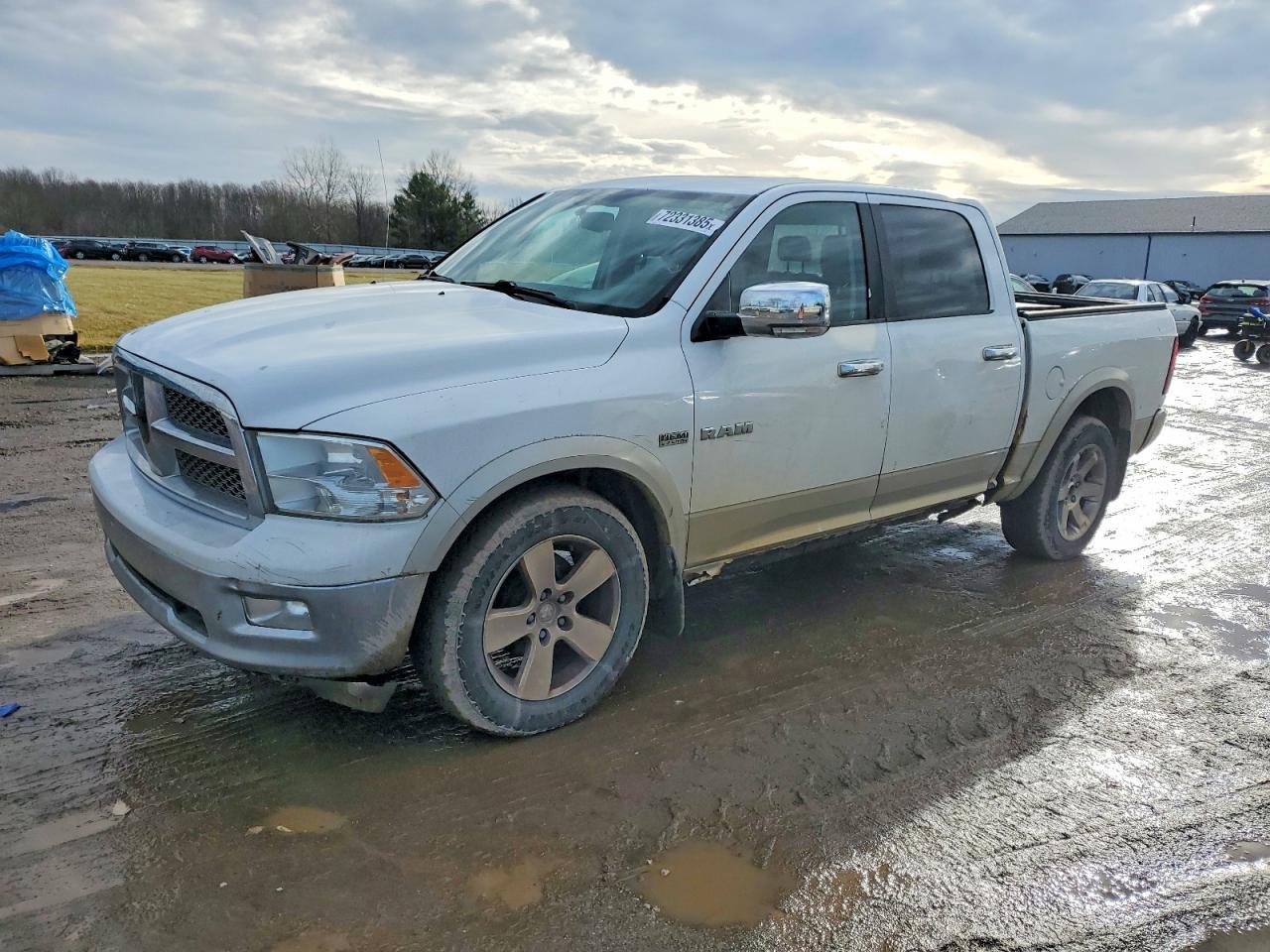 2010 DODGE RAM 1500