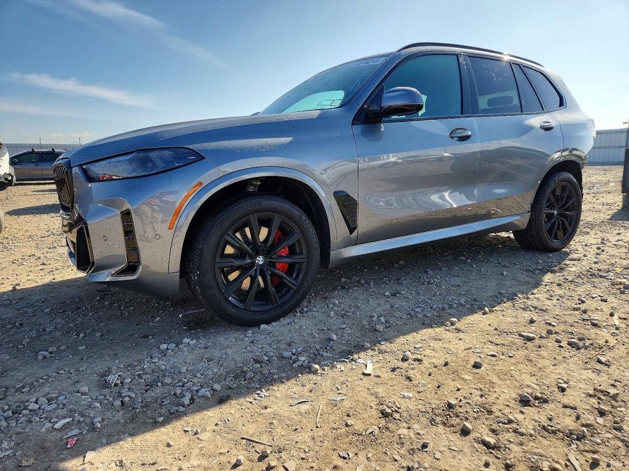2024 BMW X5