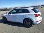 2023 AUDI SQ5