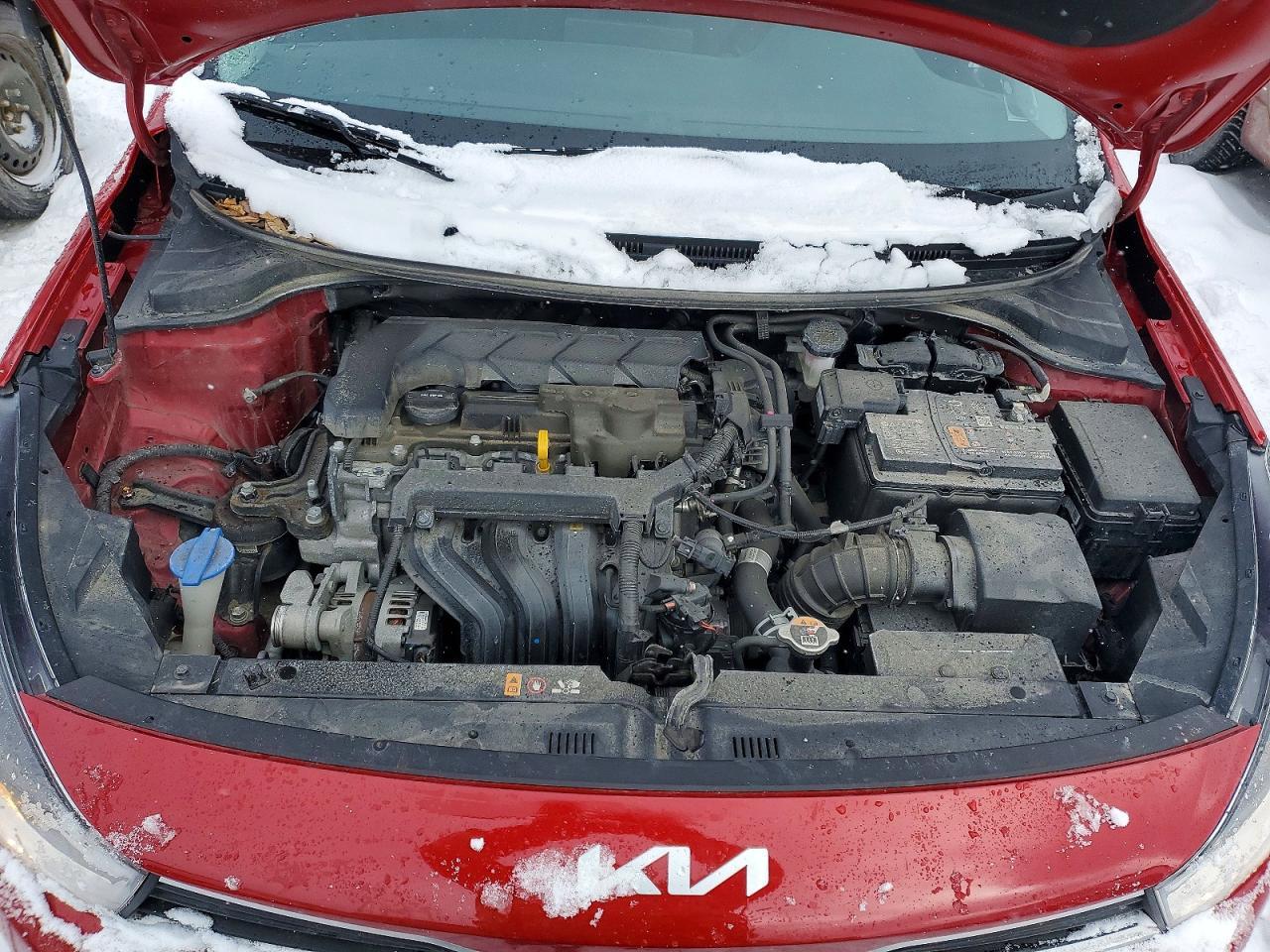 2023 KIA RIO