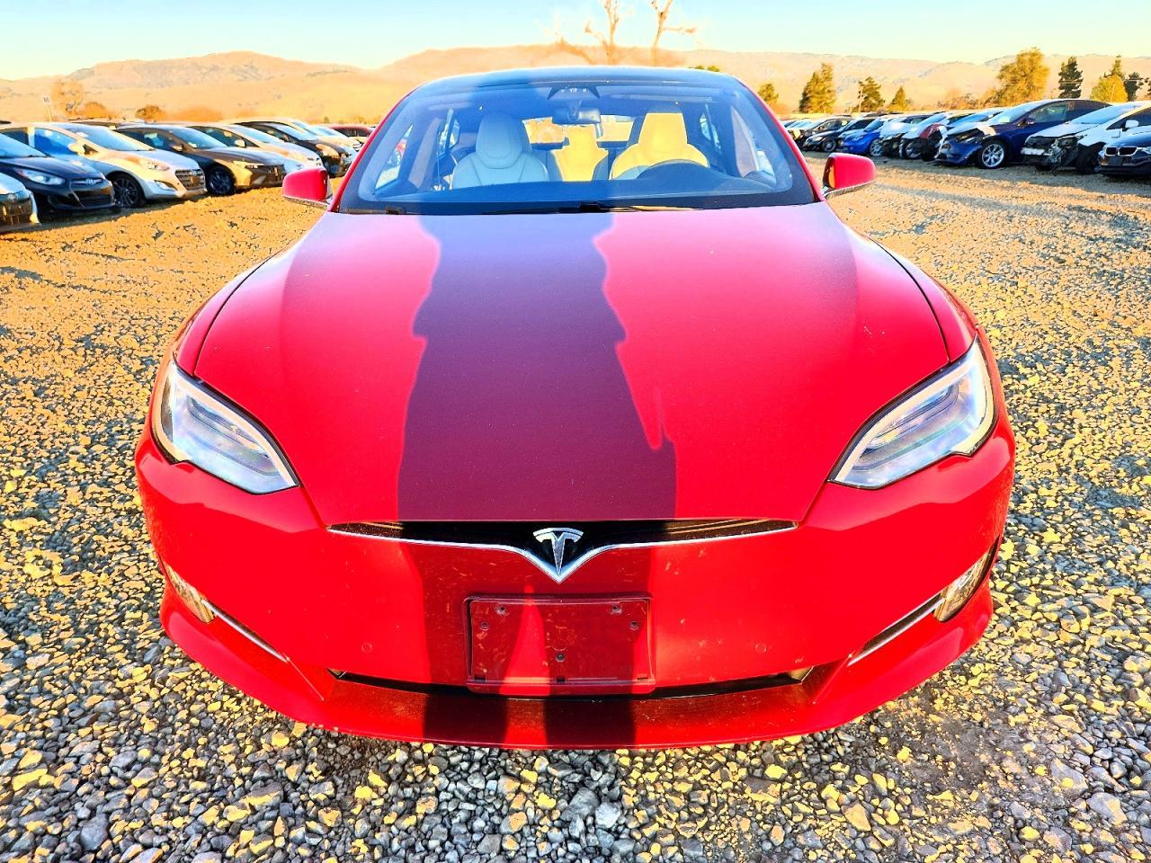 2019 TESLA MODEL S