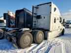 2023 FREIGHTLINER CASCADIA 126