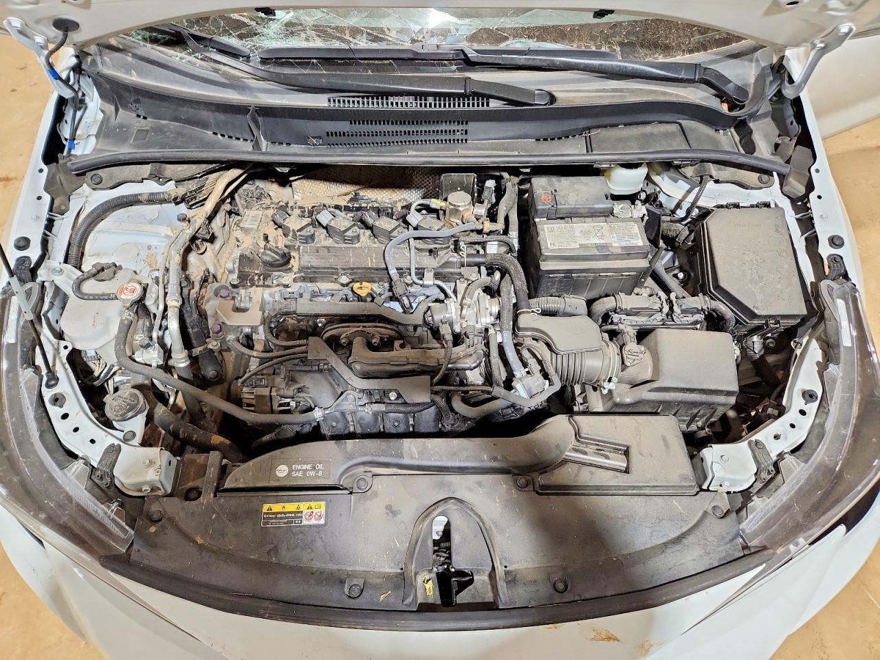 2024 TOYOTA COROLLA