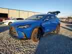 2025 LEXUS NX 250