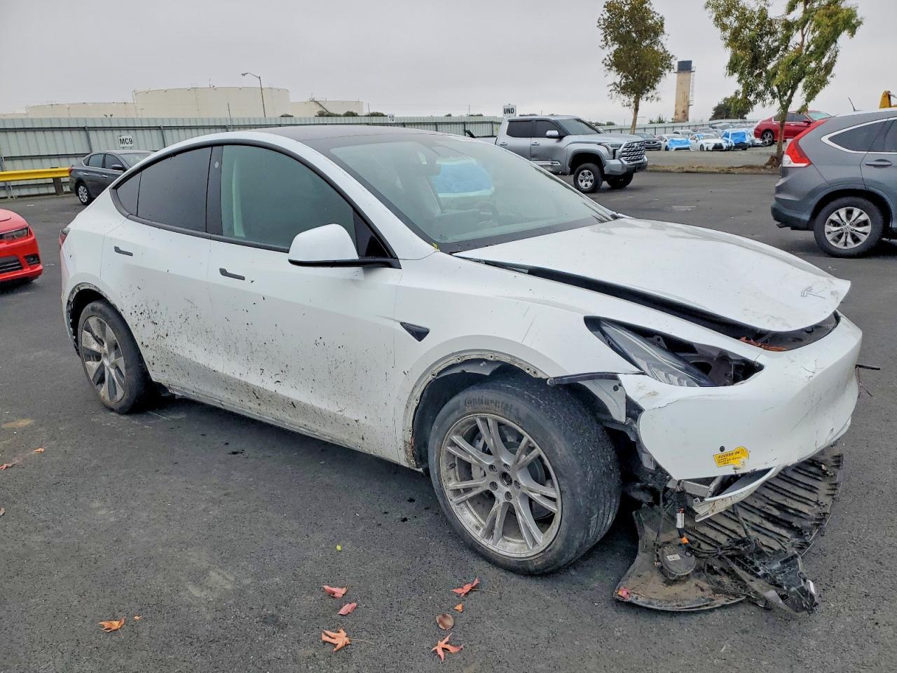 2021 TESLA MODEL Y