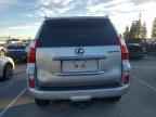 2012 LEXUS GX 460