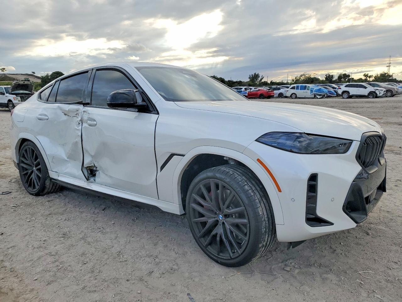 2026 BMW X6