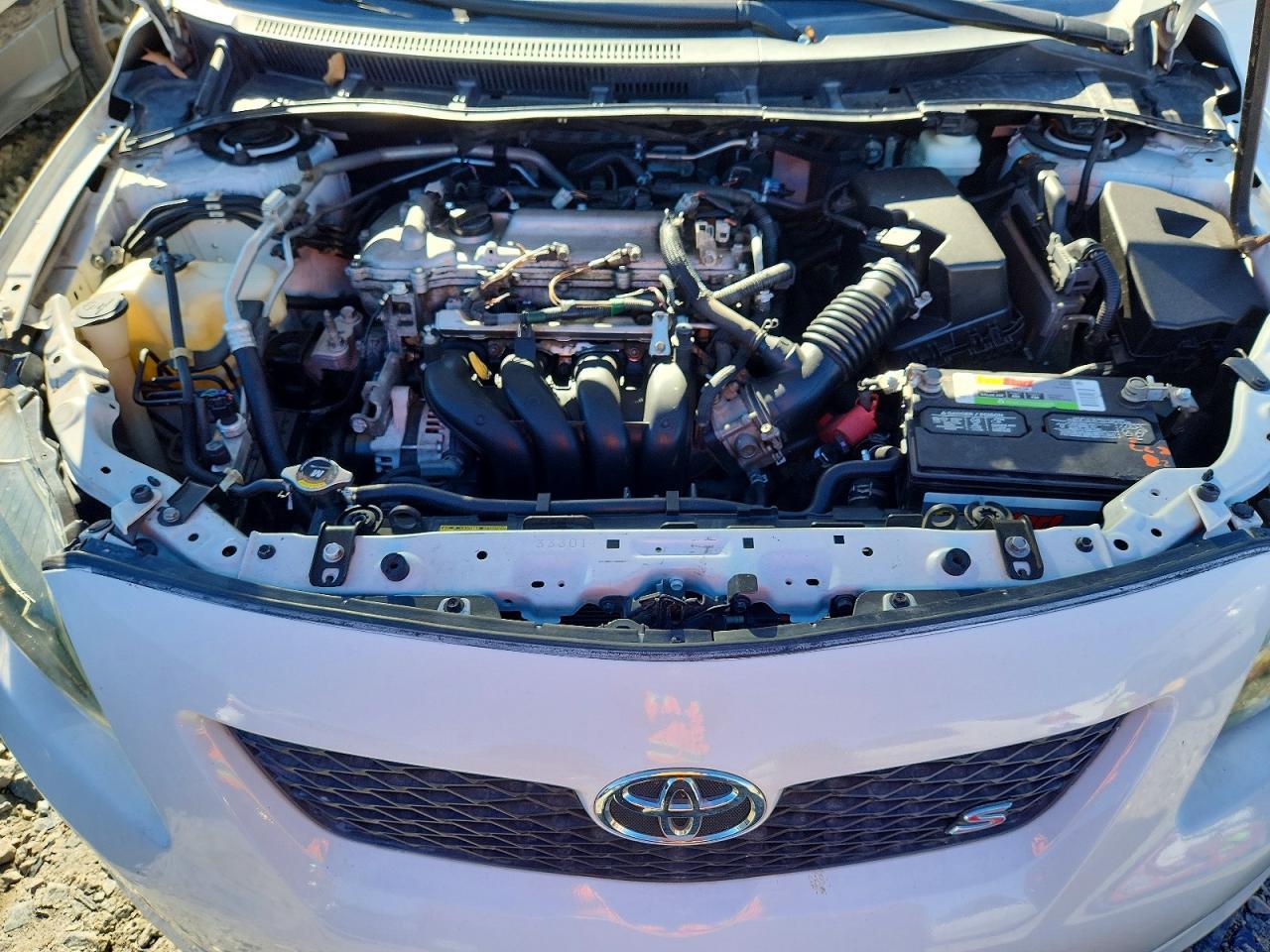 2010 TOYOTA COROLLA