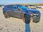 2025 LEXUS NX 250