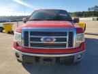 2009 FORD F-150