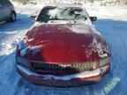 2005 FORD MUSTANG