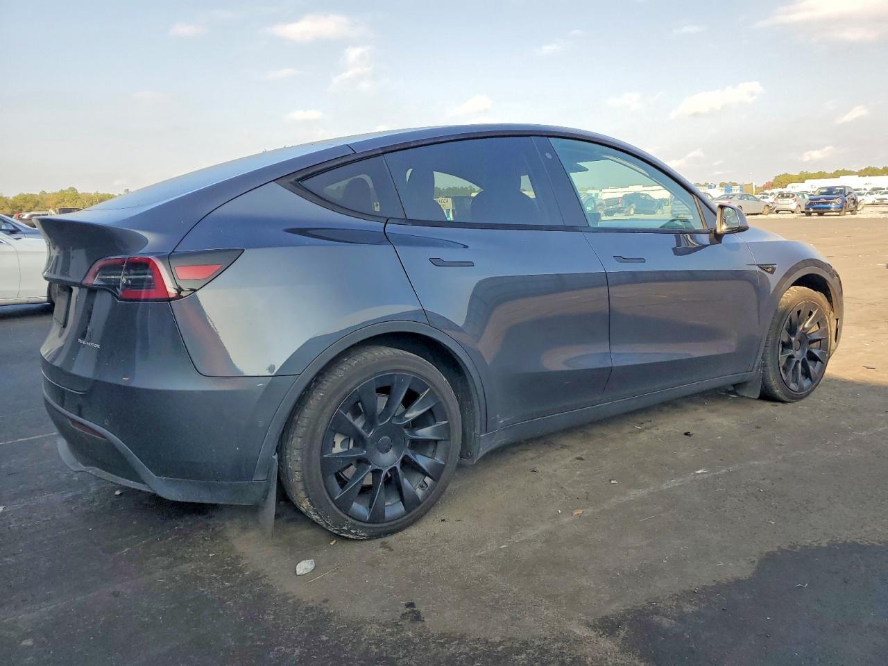 2020 TESLA MODEL Y