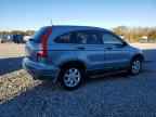 2007 HONDA CR-V