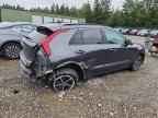 2025 KIA Niro