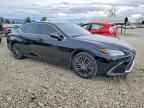 2024 LEXUS ES 300H