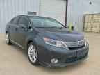 2010 LEXUS HS 250h