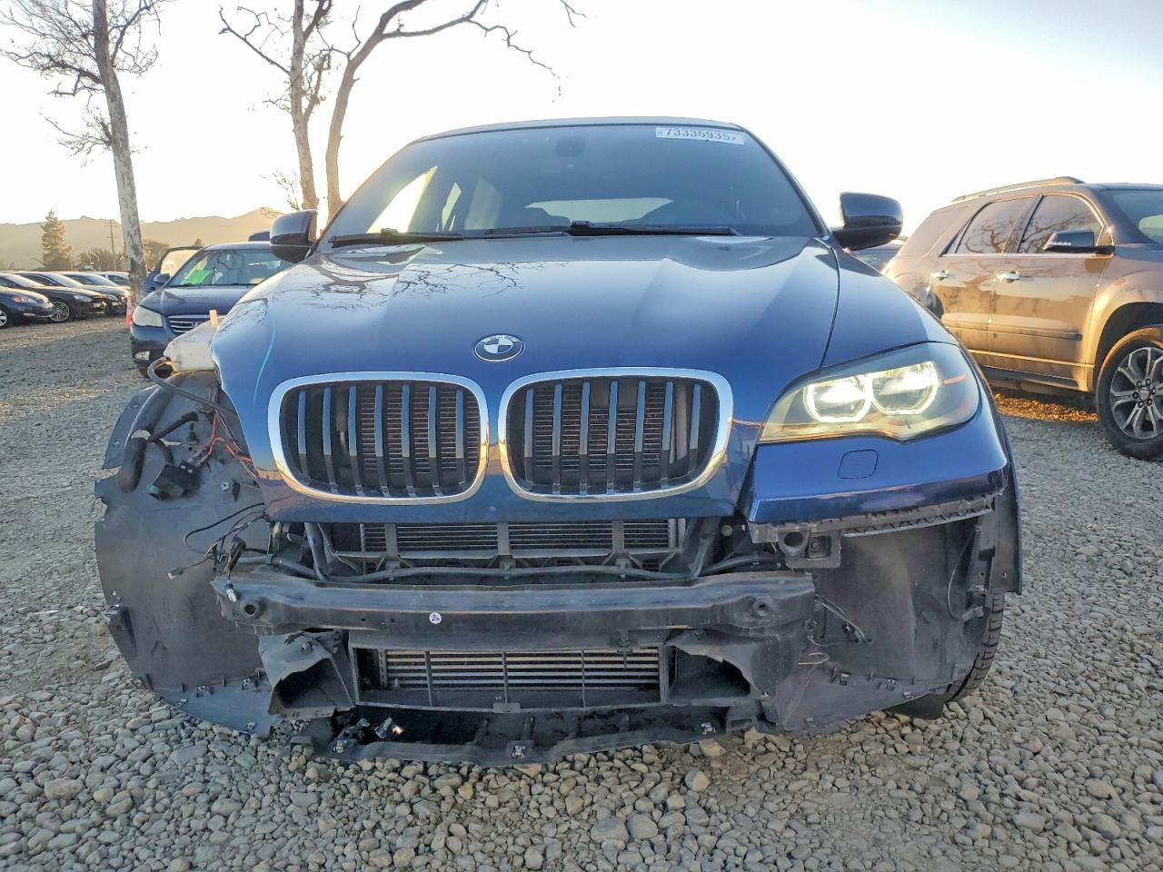 2013 BMW X6