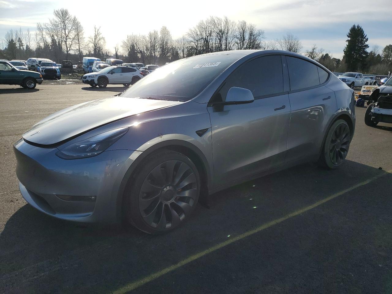 2024 TESLA MODEL Y