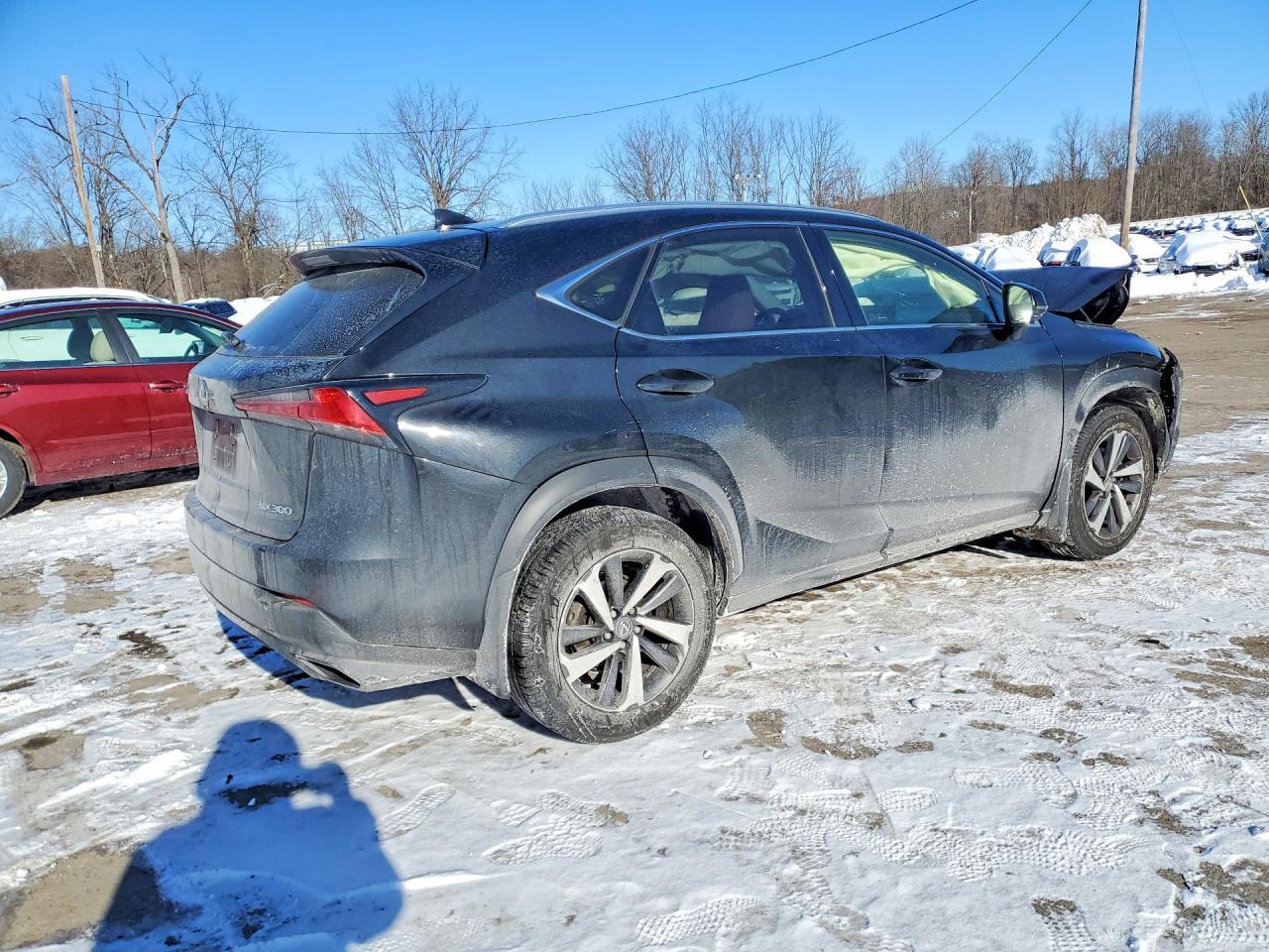 2019 LEXUS NX 300