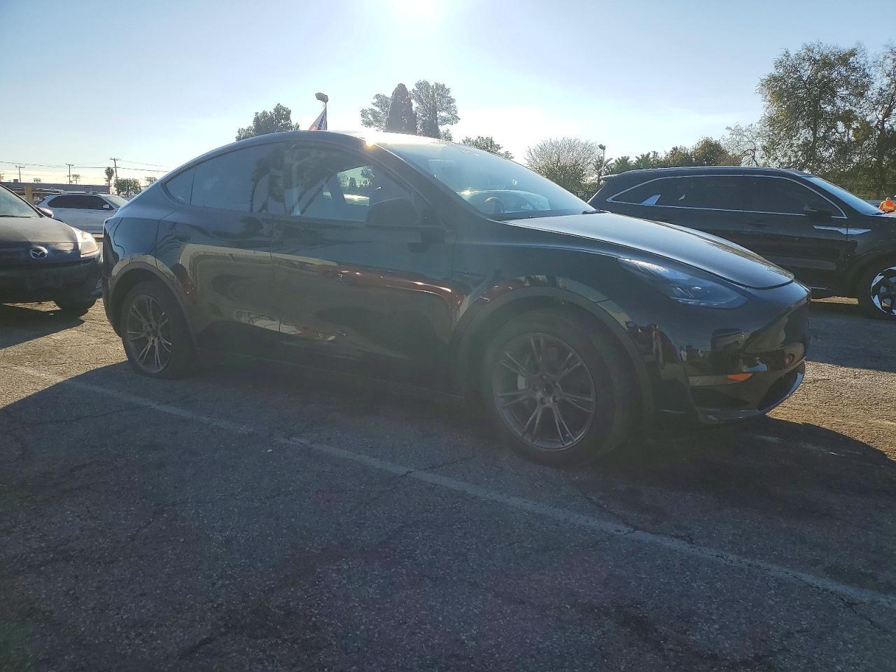 2025 TESLA MODEL Y