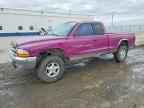 1997 DODGE Dakota