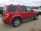2010 FORD ESCAPE