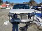 2023 HONDA Passport