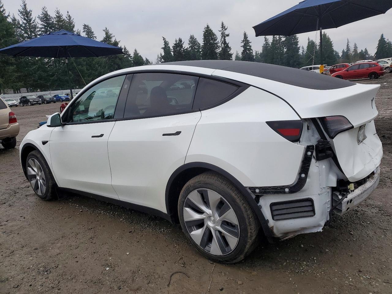 2024 TESLA MODEL Y