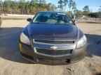 2010 CHEVROLET MALIBU