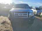 2009 FORD F-150