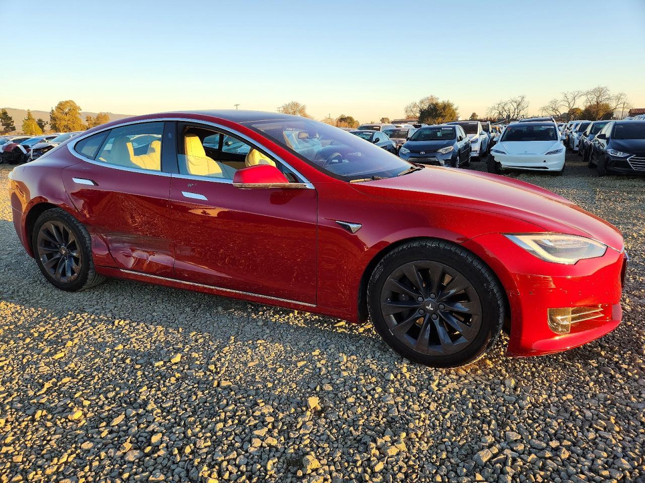 2019 TESLA MODEL S