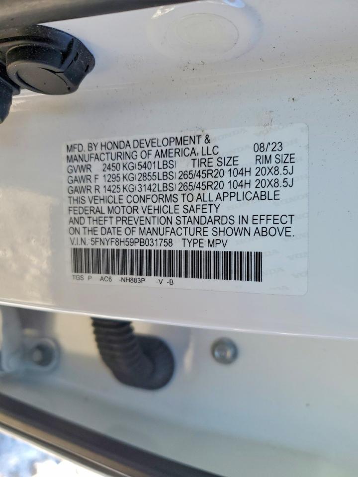 2023 HONDA Passport