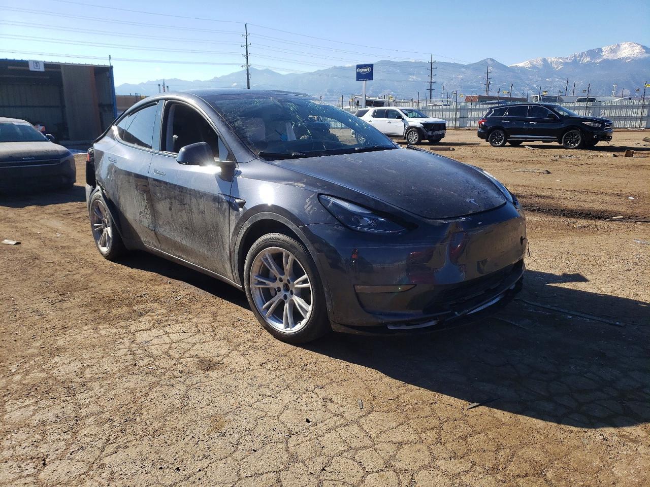 2024 TESLA MODEL Y