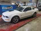 2009 FORD MUSTANG