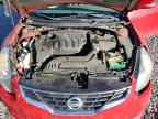 2010 NISSAN ALTIMA