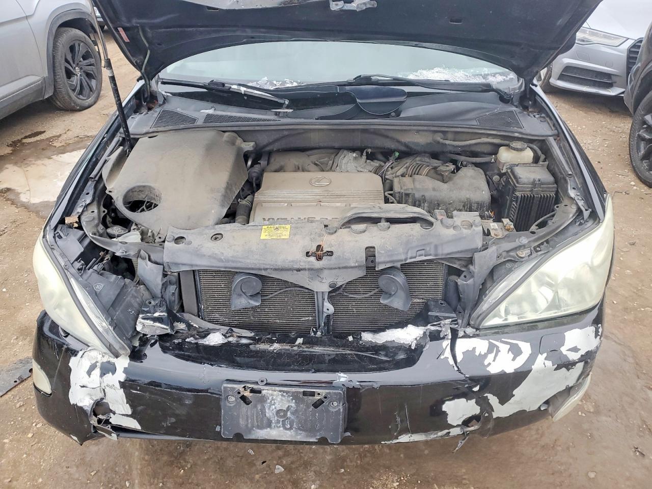 2004 LEXUS Rx 330