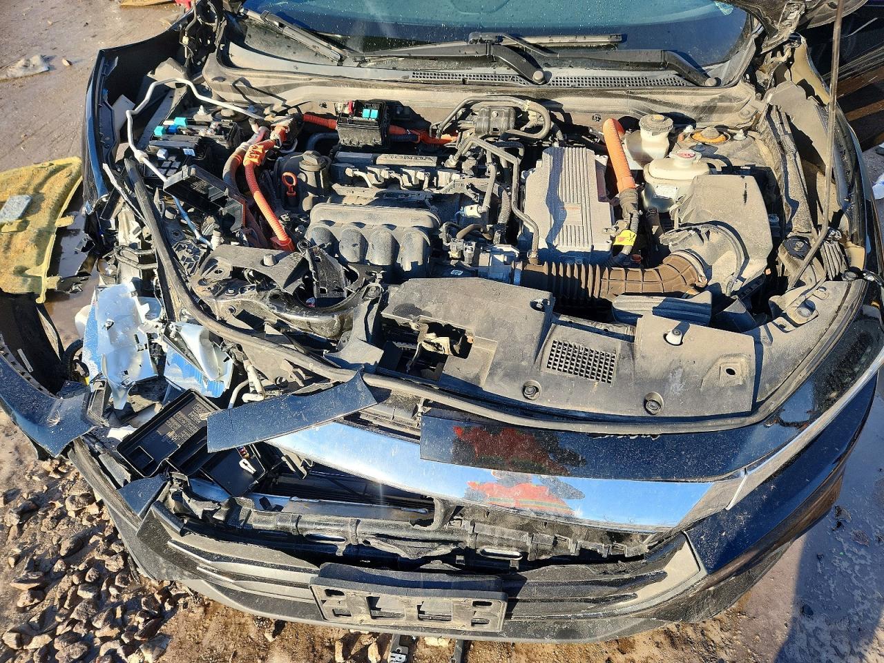 2019 HONDA Insight