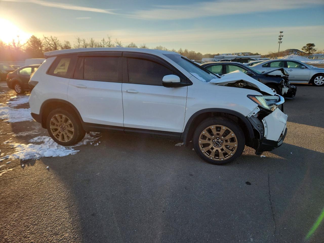 2023 HONDA Passport