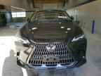 2026 LEXUS NX 350