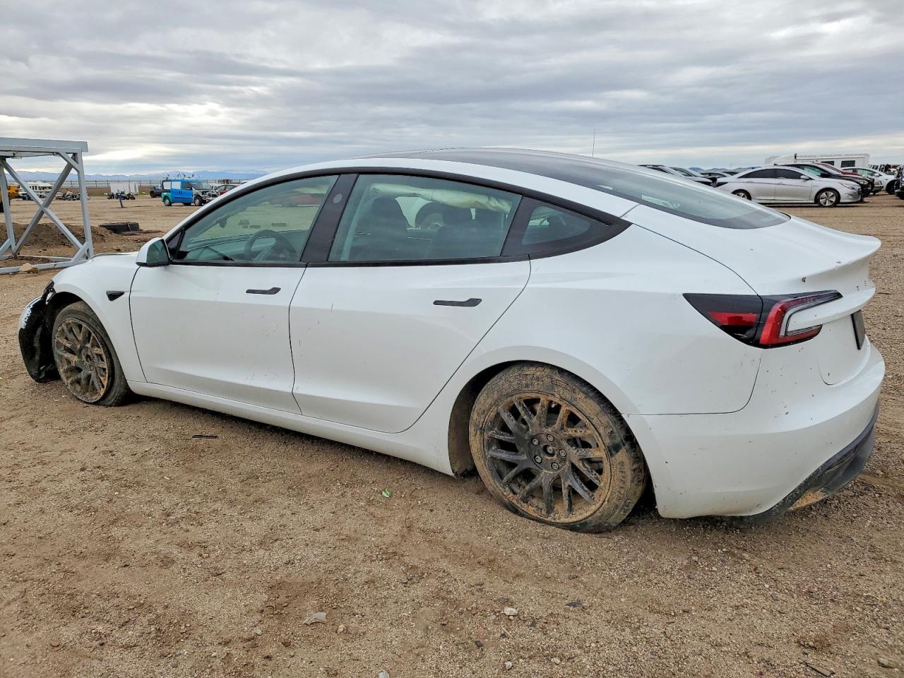 2025 TESLA MODEL 3