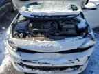 2023 KIA RIO