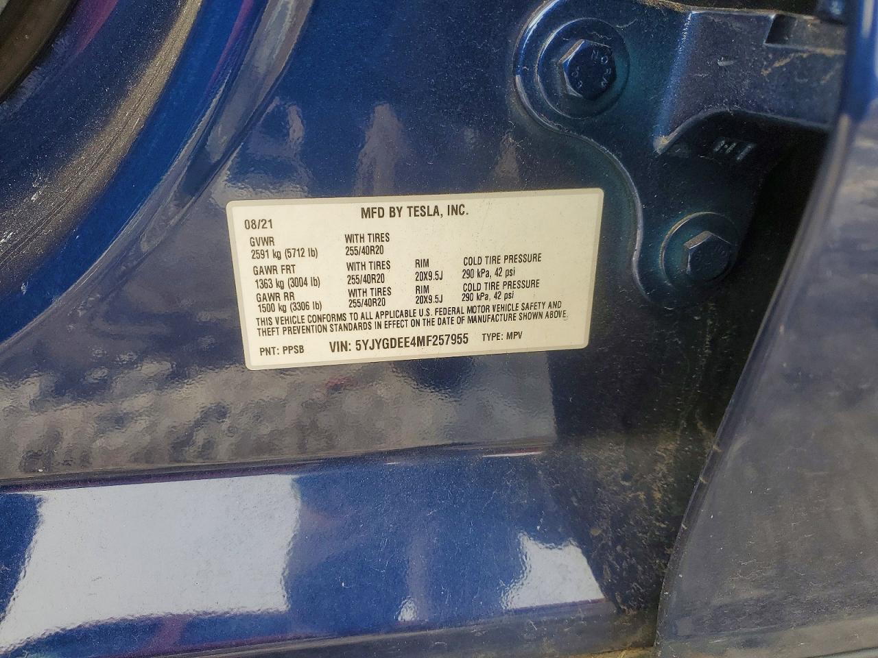 2021 TESLA MODEL Y