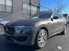 2019 MASERATI Levante