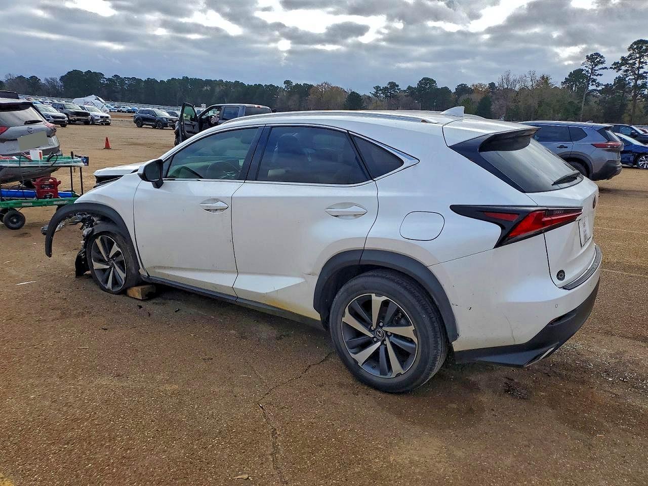 2019 LEXUS NX 300