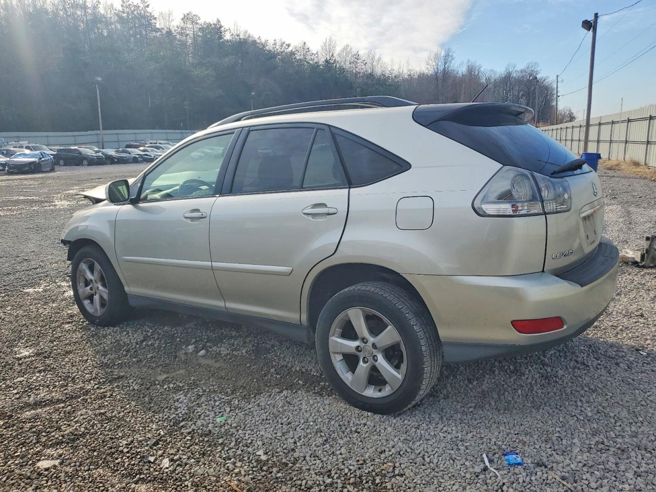 2004 LEXUS Rx 330