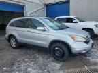 2010 HONDA CR-V