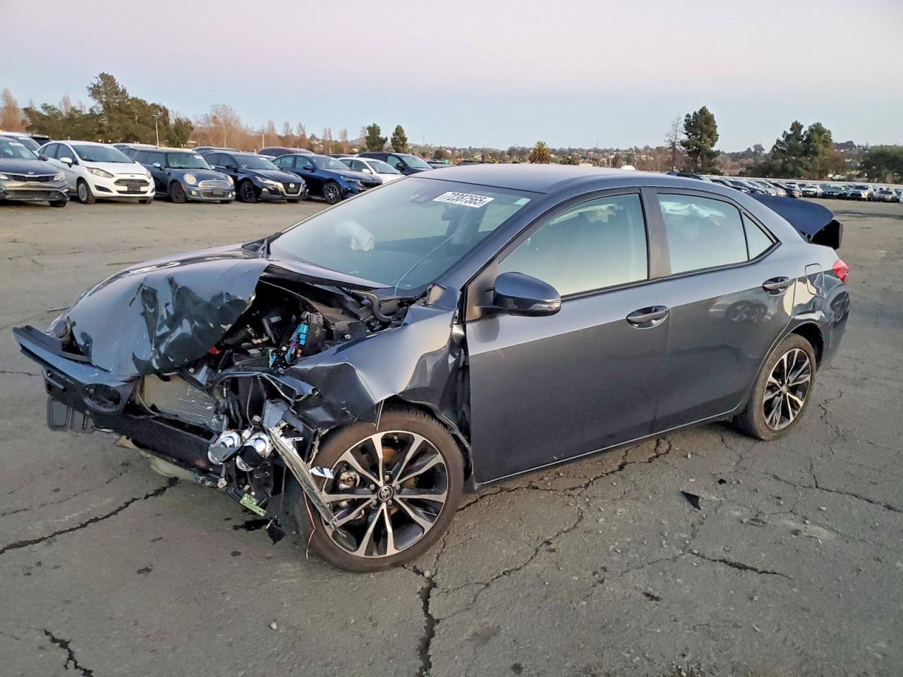 2019 TOYOTA COROLLA