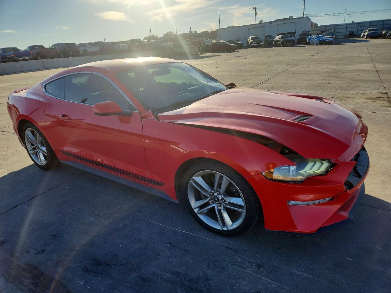 2019 FORD MUSTANG