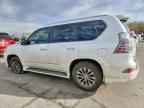 2019 LEXUS GX 460
